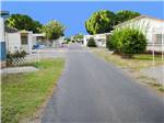 A road between manufactured homes at SHADY ACRES MH & RV PARK - thumbnail