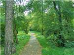 A walking trail in the woods at WHISPERING PINES CAMPING ESTATES - thumbnail