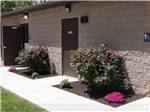 Rose bushes by the restrooms at BERLIN RV PARK & CAMPGROUND - thumbnail