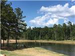 View larger image of The lake surrounded by trees at BLUE SKY LAKE LIVINGSTON RV PARK  CABINS image #5