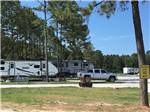 A row of RV sites with trees at BLUE SKY LAKE LIVINGSTON RV PARK & CABINS - thumbnail