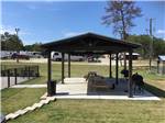 View larger image of picnic tables under the pavilion at BLUE SKY LAKE LIVINGSTON RV PARK  CABINS image #11