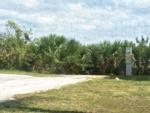 Open space at site Myakka River Motorcoach Resort - thumbnail