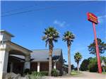 View larger image of The palm trees at the front of the building at WINNIE INN  RV PARK image #4