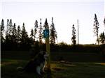 View larger image of Dog standing watch near pet-friendly area at HO-CHUNK GAMING RV PARK image #6