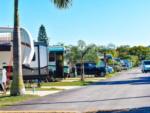 Full RV sites at Tropical Gardens RV Park - thumbnail