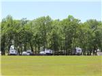 Tree lined camp sites - thumbnail