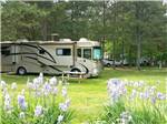 A Class A motorhome parked with the slide outs pulled out at PLUM NELLY RV PARK - thumbnail
