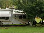 A motorhome parked under a tree at PLUM NELLY CAMPGROUND - thumbnail
