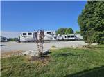 Variety of travel trailers parked at sites - thumbnail