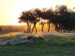 Sunset behind a row of trees at LAKE MEDINA RV RESORT - thumbnail