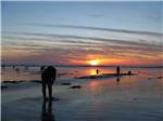View larger image of Walking the beach at sunset at KENANNA RV PARK image #9