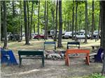View larger image of Fire pit surrounded by brightly colored benches at CHAIN OLAKES CAMPGROUND image #4
