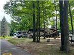 View larger image of Motorhomes in campsites under tall trees at CHAIN OLAKES CAMPGROUND image #5