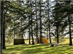 A couple of tents under trees at LAKEVIEW CAMPING RESORT - thumbnail