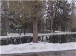 The pond covered with snow at WOODLAND PARK - thumbnail