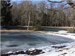 The pond iced over in winter at WOODLAND PARK - thumbnail