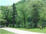 Campground photo thumbnail