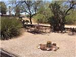 View larger image of Campground at CRAZY HORSE RV CAMPGROUNDS image #11