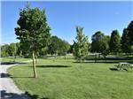 View larger image of A row of grassy RV sites at NICOLSTON DAM CAMPGROUND  TRAVELLERS PARK image #9