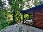 Side view of cabin and trees at HIDDEN PARADISE CAMPGROUND - thumbnail