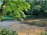Trees lining the bank of the water at HIDDEN PARADISE CAMPGROUND - thumbnail