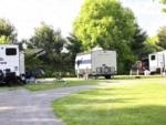 Parked RV's at site Shady Oaks RV Park - thumbnail