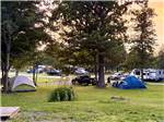 People near their RVs under shade trees - thumbnail
