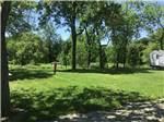 Shady grass sites at Clinton Lake Camping - thumbnail