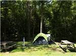 Grass tenting site with two picnic tables at YONAH MOUNTAIN CAMPGROUND - thumbnail