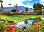 View larger image of A lake with a stone bench at CATALINA SPA AND RV RESORT image #7