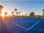 View larger image of The blue pickleball courts at CATALINA SPA AND RV RESORT image #10