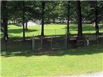 The fenced in pet area at BRECKENRIDGE LAKE RESORT - thumbnail