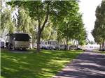 View larger image of A row of occupied RV sites at OSULLIVAN SPORTSMAN RESORT CAMPING RESORT image #2