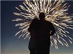 A couple watching a firework display at O'SULLIVAN SPORTSMAN RESORT (CAMPING RESORT) - thumbnail