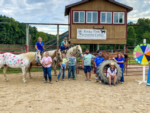 Horses and people at rec center - thumbnail