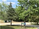 Trees all around the park - thumbnail