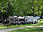 Trailers in grassy RV sites at Wally World Camping Resort - thumbnail