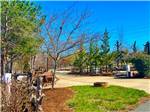 Outdoor seating area - thumbnail