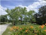 A grassy area in front of the pond at North Fork Resort - thumbnail