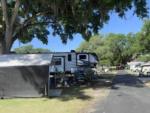 RV sites along a shady, paved road at Ducky's Day Off RV Park - thumbnail