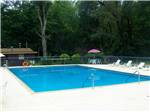 View larger image of Swimming pool with outdoor seating at BEAR CAVE RESORT image #2