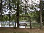 A swing by the water at WENDY OAKS RV RESORT - thumbnail