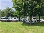 RVs parked near shade trees at OLD MILL RV RESORT - thumbnail