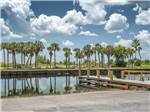 A row of palm trees on the other side of the water at EAST TOHO RV RESORT & MARINA - thumbnail