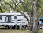An RV parked in a shady site - thumbnail