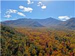 View of mountains and foliage at Pigeon Forge Department Of Tourism - thumbnail