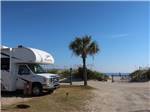 RV parked at a site with a palm tree at Myrtle Beach Campgrounds - thumbnail