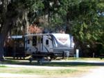 An RV parked in a shady site - thumbnail