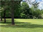 Grassy area shaded by trees at Camping World-Campground of Oxford - thumbnail